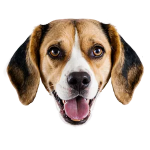 Beagle Dog Head Png Wtf99 PNG image