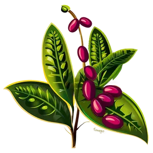 Bean Plant Clipart PNG 52