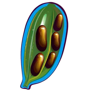 Bean Pod Clipart Png 05242024 PNG image