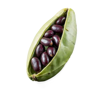 Bean Pod Open PNG Thc40 PNG