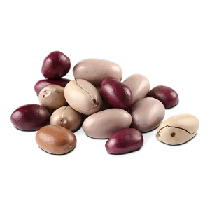 Beans Animation Png Qvs11 PNG image
