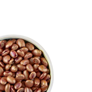 Beans Can Art PNG 06212024