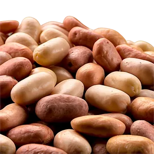Beans Can Side View PNG Ijy PNG