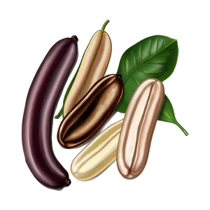 Beans Drawing Png 64 PNG image