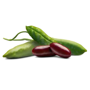 Beans Field Png Wym PNG image