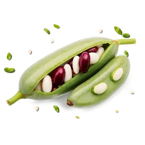 Beans Graphic Png 87 PNG image