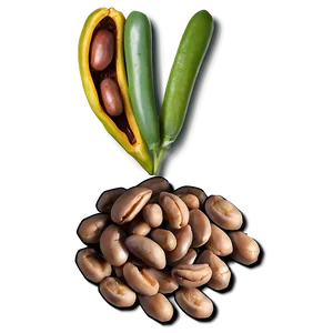Beans Graphic Png Njm PNG image