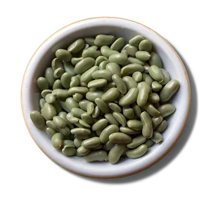 Beans Graphic Png Wsh PNG image