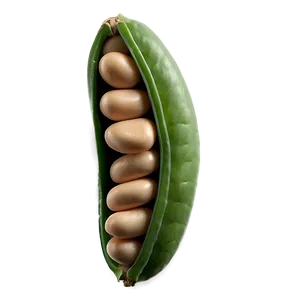 Beans Pod Png 05242024 PNG image
