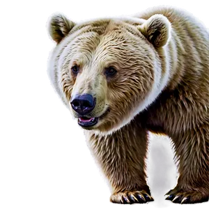 Bear A PNG