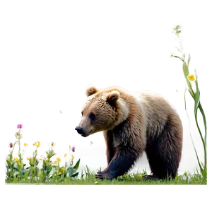 Bear And Bees PNG Cxg51 PNG