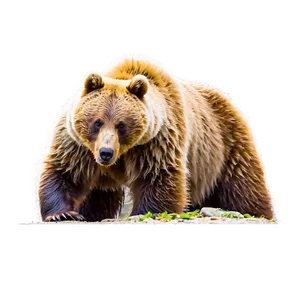 Bear And Cub Png 05032024 PNG image