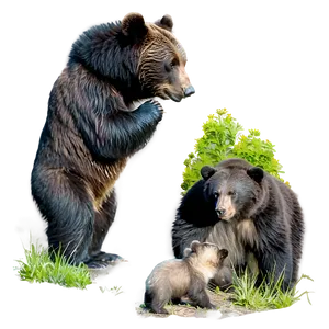 Bear And Cub PNG 95