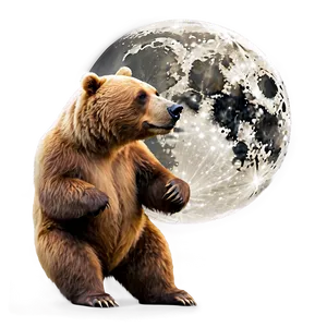 Bear And Moon PNG 18