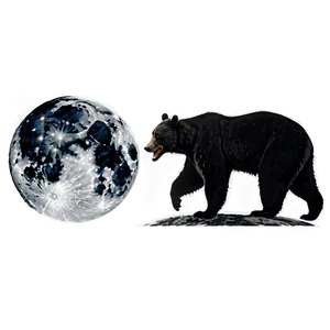 Bear And Moon Png Dfh PNG image