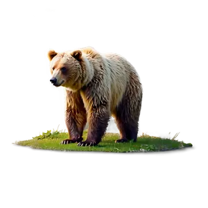 Bear Clipart PNG 05032024
