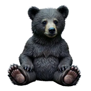 Bear Cub Art PNG 46