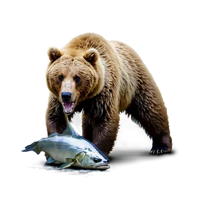 Bear Eating Fish PNG Yar PNG