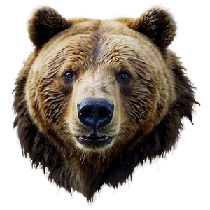 Bear Face A PNG image