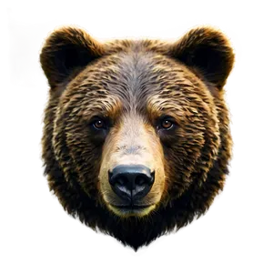 Bear Face Avatar Png 81 PNG image