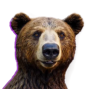 Bear Face Decoration PNG 06292024 PNG