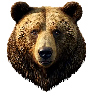 Bear Face Emoji Png 77 PNG image