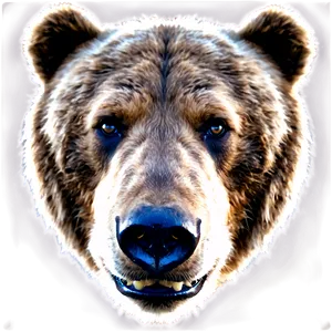 Bear Face Expression PNG Yua95 PNG