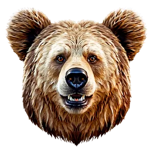 Bear Face In Cartoon Style PNG 06292024 PNG
