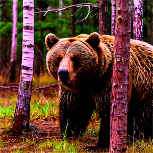 Bear Face In Forest PNG 84 PNG