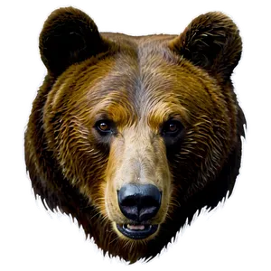 Bear Face In Forest PNG Kdo
