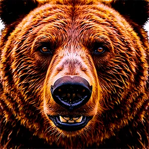 Bear Face In Nature PNG Uey72 PNG