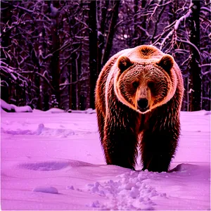 Bear Face In Snow PNG 06292024