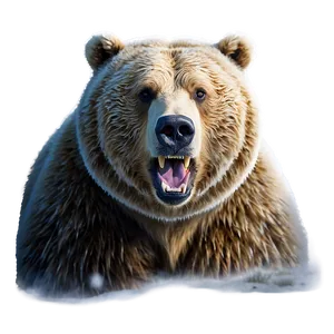 Bear Face In Snow PNG Xdw