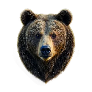 Bear Face Model PNG 82