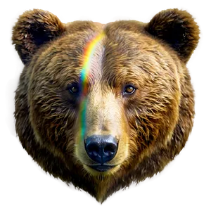 Bear Face Model PNG Qae
