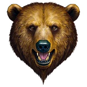 Bear Face Png Ywb PNG image