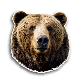 Bear Face Sticker PNG 06292024