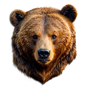 Bear Face Sticker PNG 78