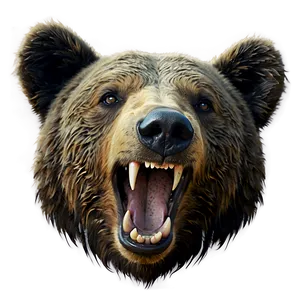 Bear Face Symbol PNG 67