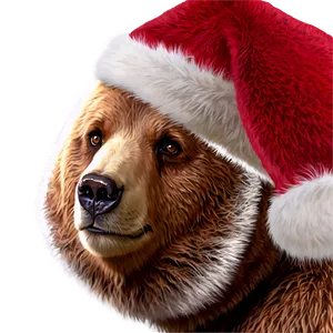 Bear Face With Santa Hat PNG 79 PNG