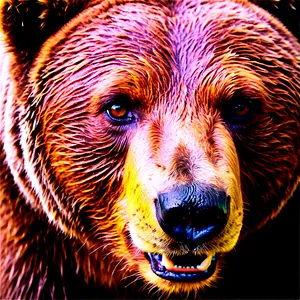 Bear Face With Text PNG 06292024
