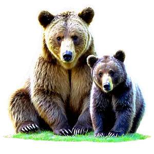 Bear Family PNG Okj