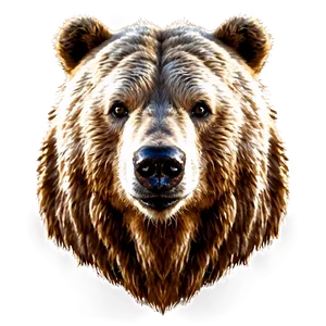 Bear Head D PNG image