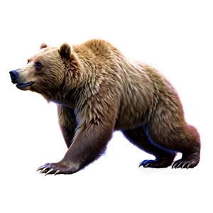 Bear Head Fantasy PNG 38