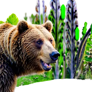 Bear Head In Nature PNG Euj