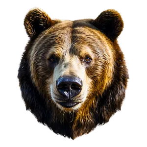 Bear Head In Nature PNG Mxu26 PNG