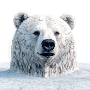 Bear Head In Snow PNG 06292024
