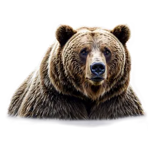 Bear Head On Mountain PNG Ssg22 PNG