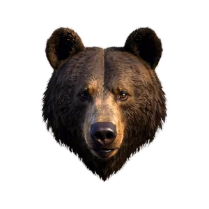 Bear Head Png 06112024 PNG image