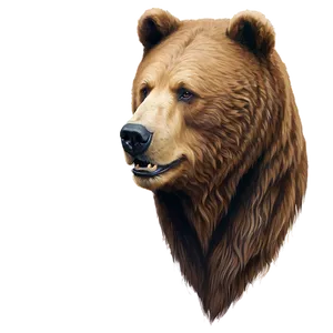 Bear Head Profile Icon PNG Wwh12